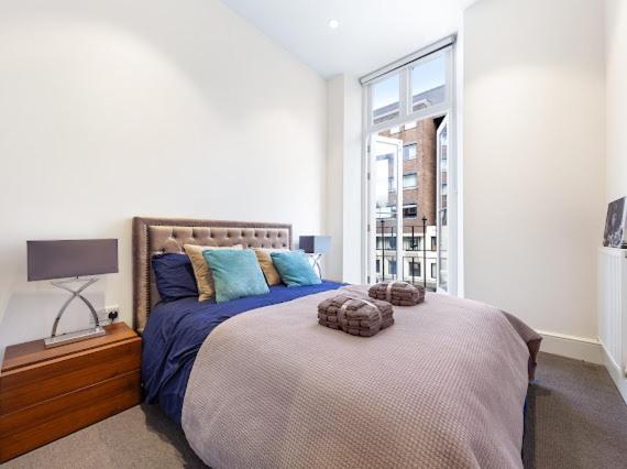 Harley Street Luxury Snug Leilighet London Eksteriør bilde