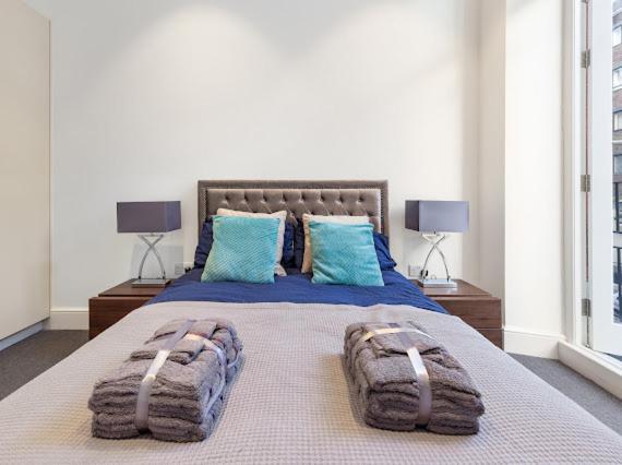 Harley Street Luxury Snug Leilighet London Eksteriør bilde